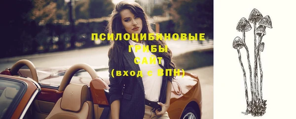 ешки Дмитриев