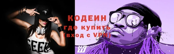 соль ск Дмитровск
