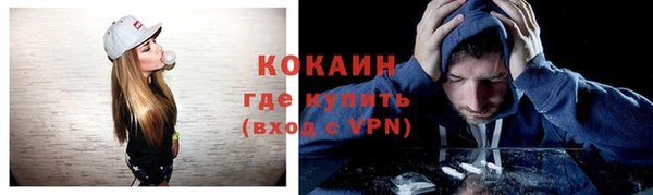 соль ск Дмитровск