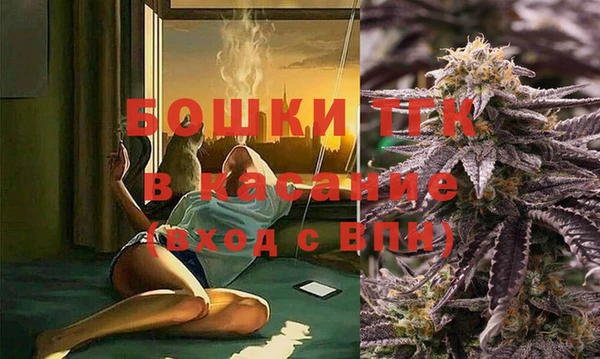 соль ск Дмитровск